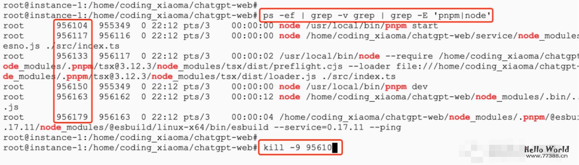ChatGPT接入到web网站教程，免费分享我的ChatGPT网站给大家使用