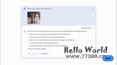 Google Bard 完胜GPT的功能，最全保姆级教程